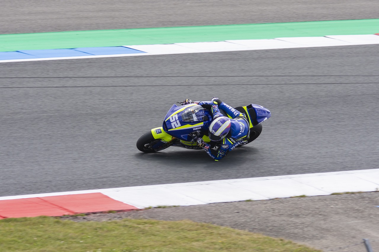 了球迷的热 了球迷的热