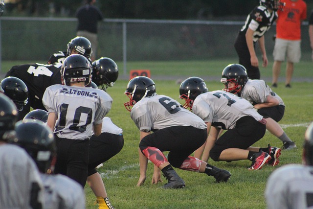 命的重要推 命的重要推