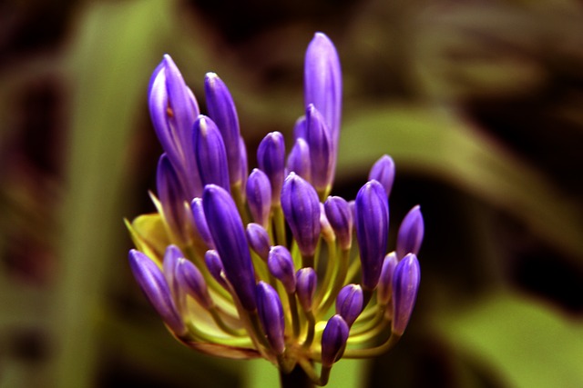 极高的教育 极高的教育