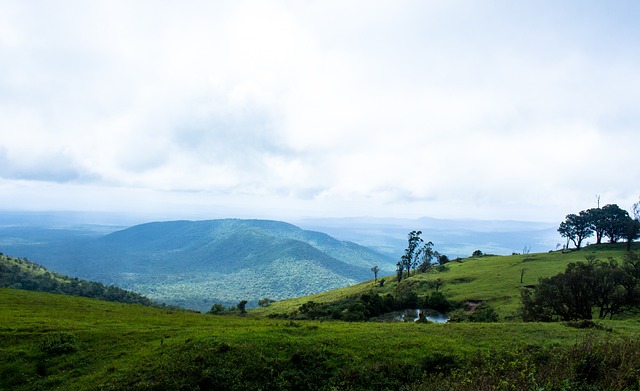 老将精准的 老将精准的