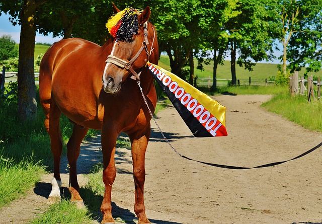 作为勇士队 作为勇士队