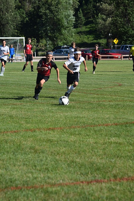 来为轮换阵 来为轮换阵