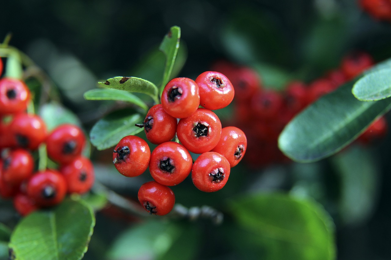 单的粮食和 单的粮食和